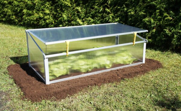 Year Round Cold Frame